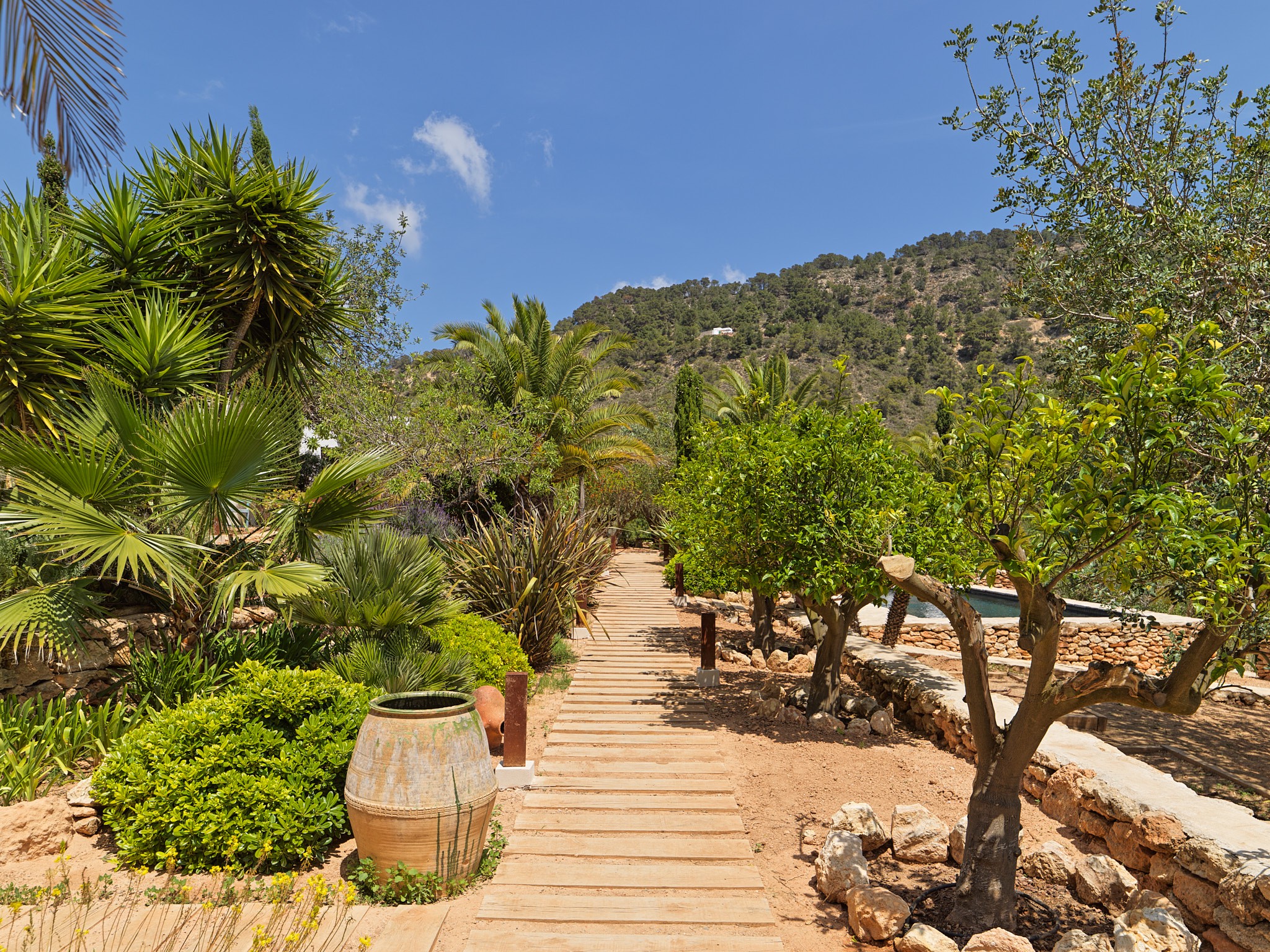 Romantic Finca in the middle of the nature with panoramic views - 34