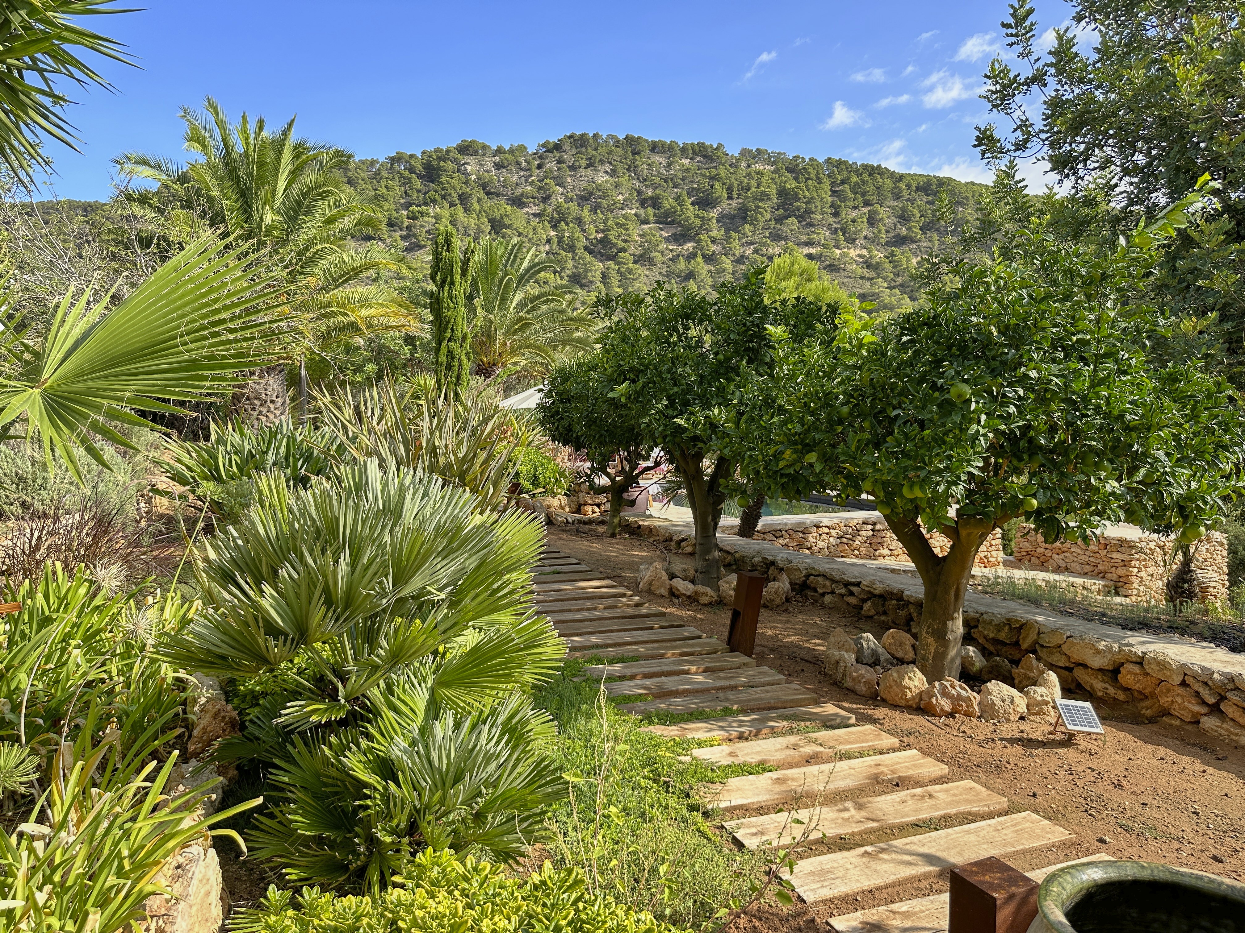 Romantic Finca in the middle of the nature with panoramic views - 35