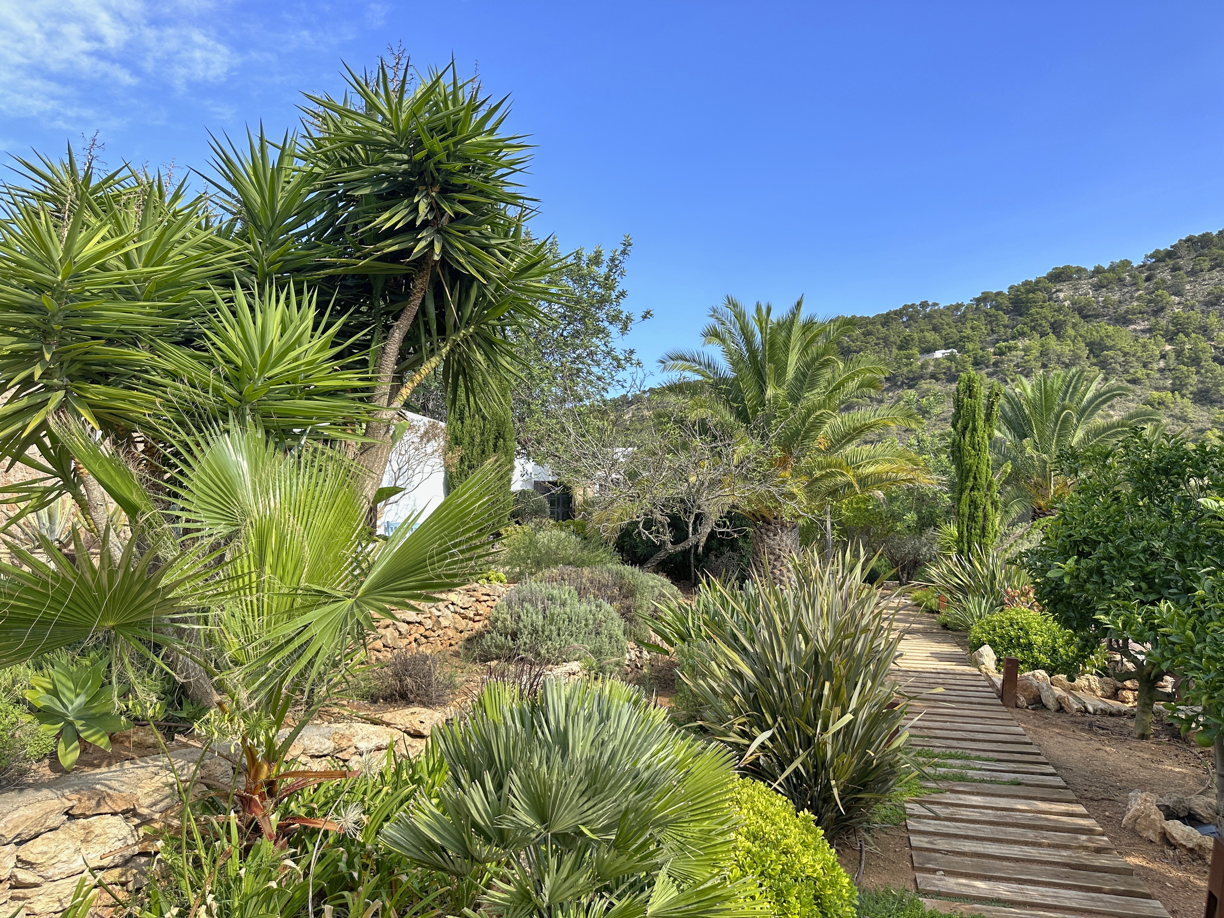 Romantic Finca in the middle of the nature with panoramic views - 7