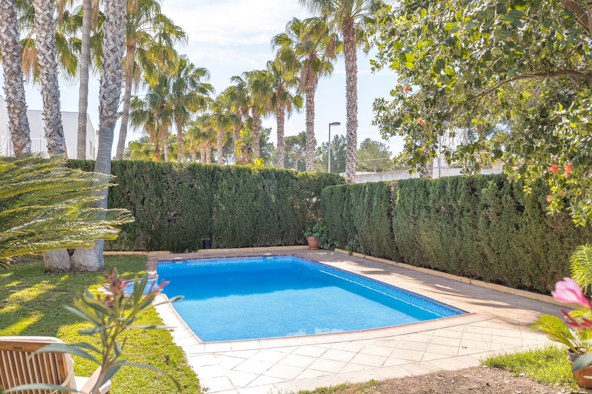Mediterranean villa with pool - 5